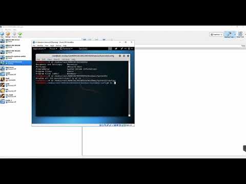 Password Lab Demo