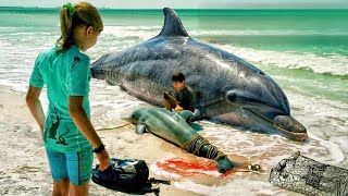 Real Story!! Kids Discover an Injured Dolphin on the Beach