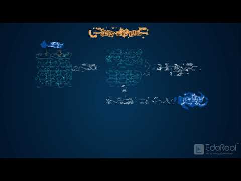Functions in SQL