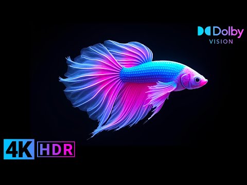 OLED Demo : Ocean Life in HDR Dolby Vision Ultra HD | 4K Video