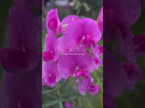 Embrace the moment #slowliving #selfreflection #positive mindset #healingjourney