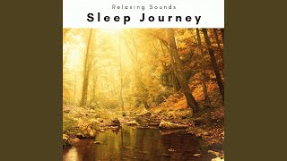 Nice Sleep Trip with Hyper Recharging Vibes