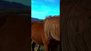 16K HDR 120fps: Dolby Vision Demo #16K #HDR #DolbyVision