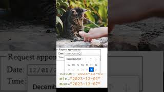 HTML date input