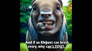"Elephant Toothpaste Hack funny Version!