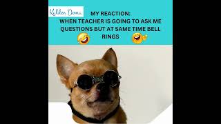 Student Meme #memes #meme #LiveLaugh #SpreadTheJoy