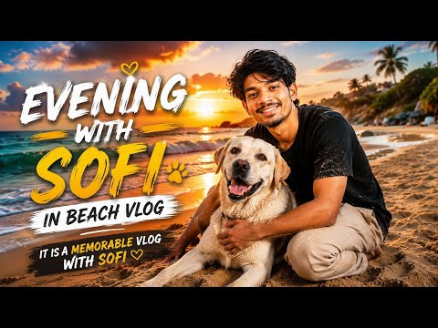 A Pleasant Evening with Sophie In Beach 🌊❤️ | #beach #vlog #minivlog #entertainment #dog 
