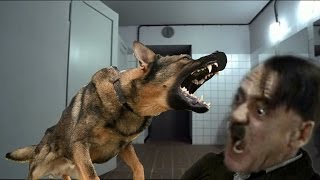 Hitler's bathroom disaster