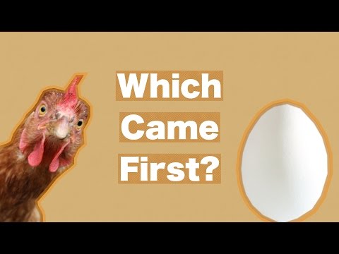 Which came first: Chicken or Chicken-Egg?