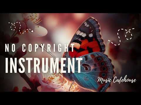 Floating Home No Copyright Music