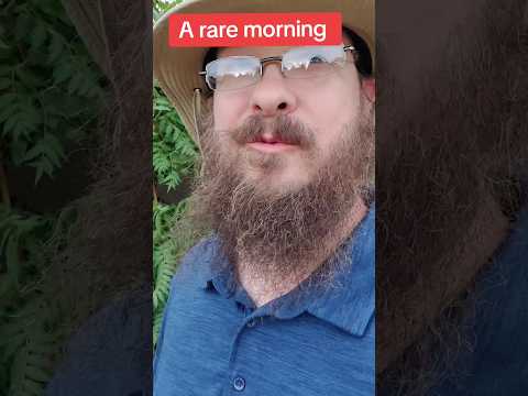 A rare morning rain. #garden #growsomefood #homegrown #plants #growyourownfood #growfood #