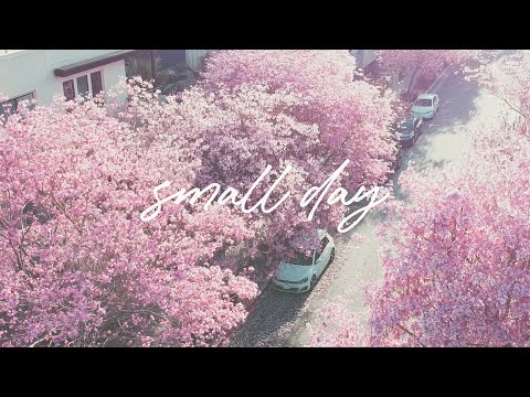 spring flowers | picnic with me | weekend vlog
