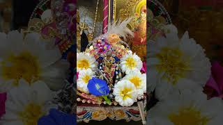 Krishna shorts #short #shorts #shyam #programerved