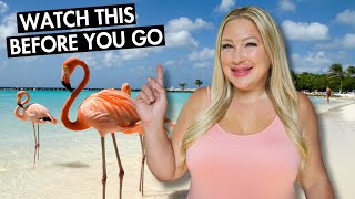 How to Visit FLAMINGO BEACH in Aruba | Renaissance Island