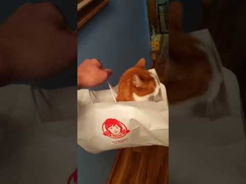 did Wendy's change something?