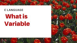 What Is Variable
