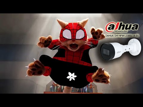 Si Miaw gagal jadi Spiderman terekam CCTV Dahua 1230 with Audio | Auto kepala benjul si miaw