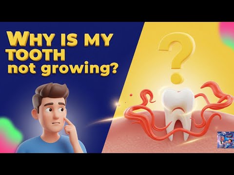 ✅ Why isn't my tooth growing? / Reasons why a tooth doesn't come out 😳👈