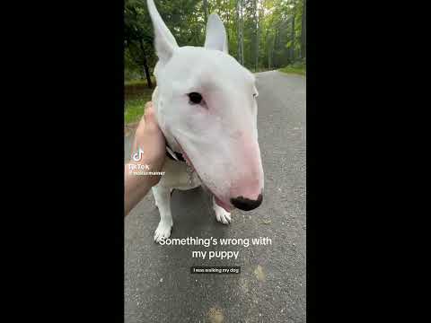 Tiktoks to make you feel better(,NOT MY VIDEOS!!)