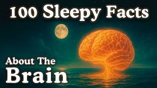 100 Facts About The Brain — Fall Asleep to Science
