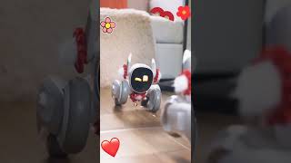 loona robot trying new fashion #loona #loonapetbot #loonarobot #airobot #petbot #petrobot