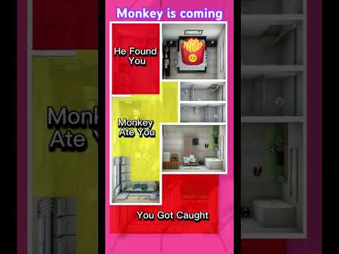 Monkey is coming