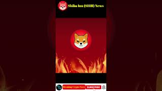 Breaking Crypto News | Dormant Whale Adds 1 Trillion SHIB