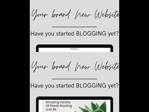 How to make a website on wordpress in 10 minutes! [For Beginners] Link in description!
