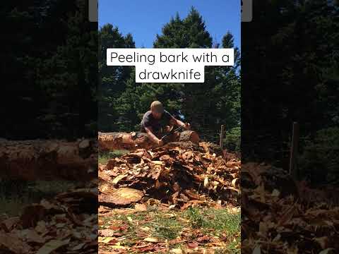 Drawknife work
