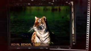 5 most beautiful places in Bangladesh