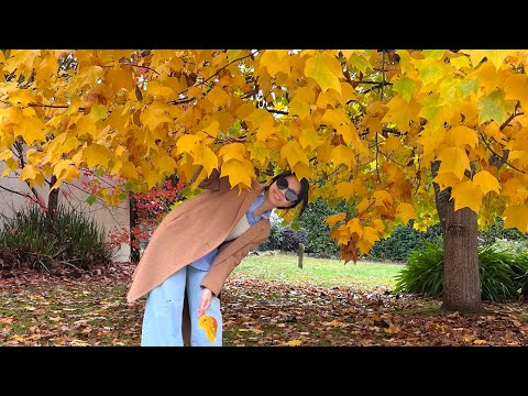 Melbourne Autumn 🍂🍁