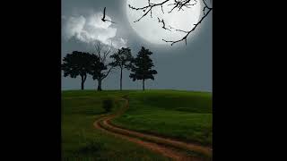 DJ C Project;Dreams2025 (Ambient Version)