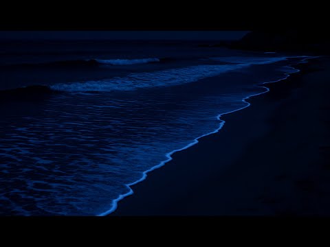 Sleep to the Sound of Ocean Waves | Relaxing Tropical Beach at Night for Sleeping