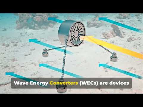 Riding the Waves:  The Future of Ocean Energy