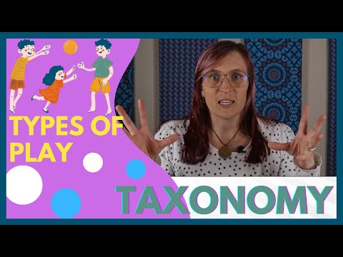 The Different Kinds of Play: B. Hughes Taxonomy of Play