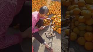 #shorts #agriculture #agritools #farming2024 #AdvanceAgriReactions