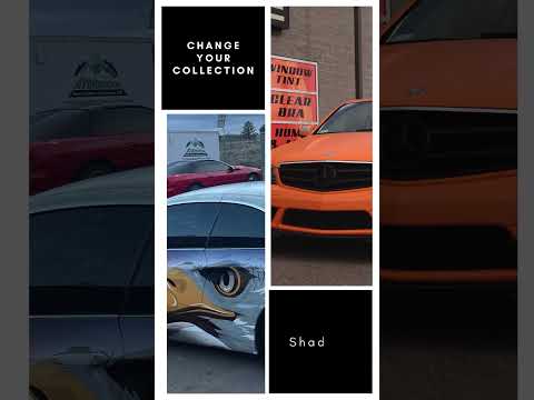Change Your Collection! | #bigdogwraps