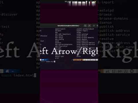 Best Ubuntu Terminal Shortcuts for Linux/Ubuntu | Tech With Tea