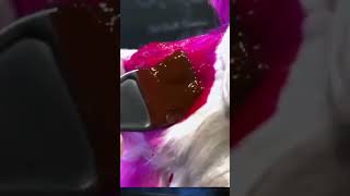 dog hair color #artist #dog_features #trending