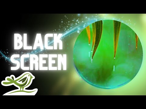 [NO ADS] You & Me | Rain Sounds, Relaxing Sleep Music & Black Screen by Peder B. Helland
