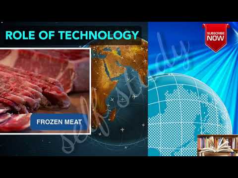 History: The Making of a Global World (Part 3)