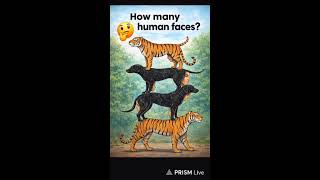 Only 1% Can Solve This Live 😱 | Maths Puzzle Challenge