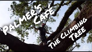 Palmer’s Café & The Climbing Tree