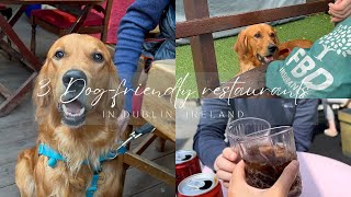 Three Dog-friendly restaurants in Dublin, Ireland | Things to do with your dog | Golden Retriever