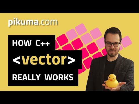 Understanding C++ Dynamic Arrays (std::vector)