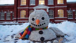 Snowman Melting | AI LEVERAGE LABS
