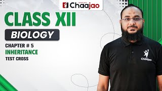 Test Cross