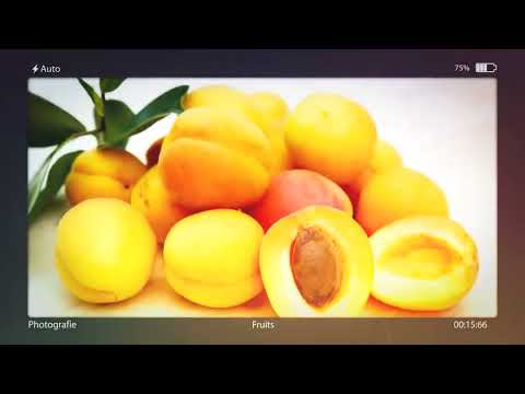 Pictory Features: A Comprehensive Guide For Photographers