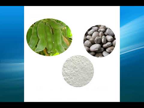Mucuna extract supplier,wholesale,factory,bulk