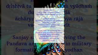 Chapter 1 Verse 2 Follow for daily Gita wisdom- ​⁠@TheBhagavadGitaWisdomforToday